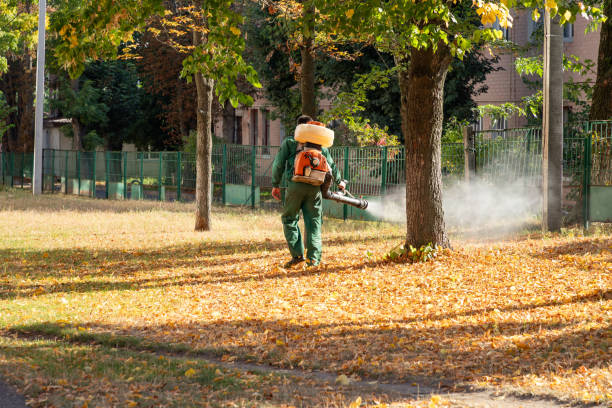 Best Wasp Removal Services  in Hobbs, NM