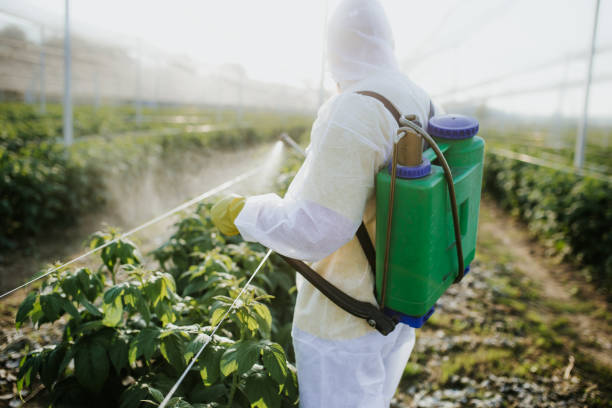 Best Emergency Pest Control  in Hobbs, NM